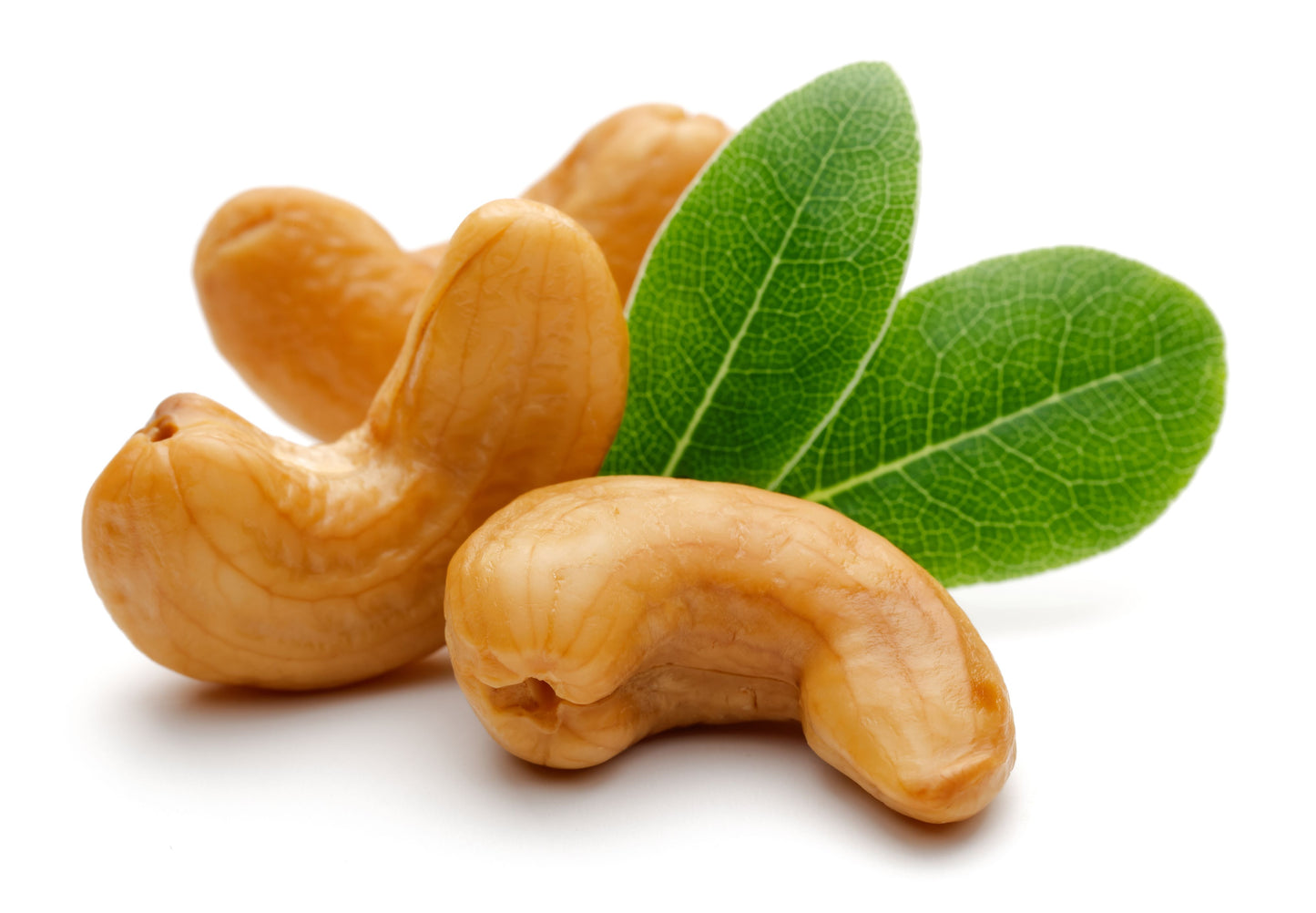 Cashew Nuts